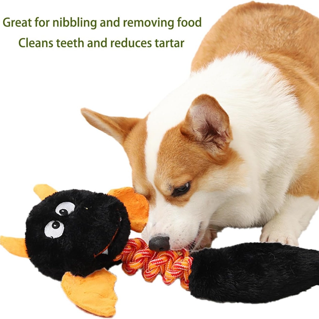 Multi-Size Squeaky Companion Set