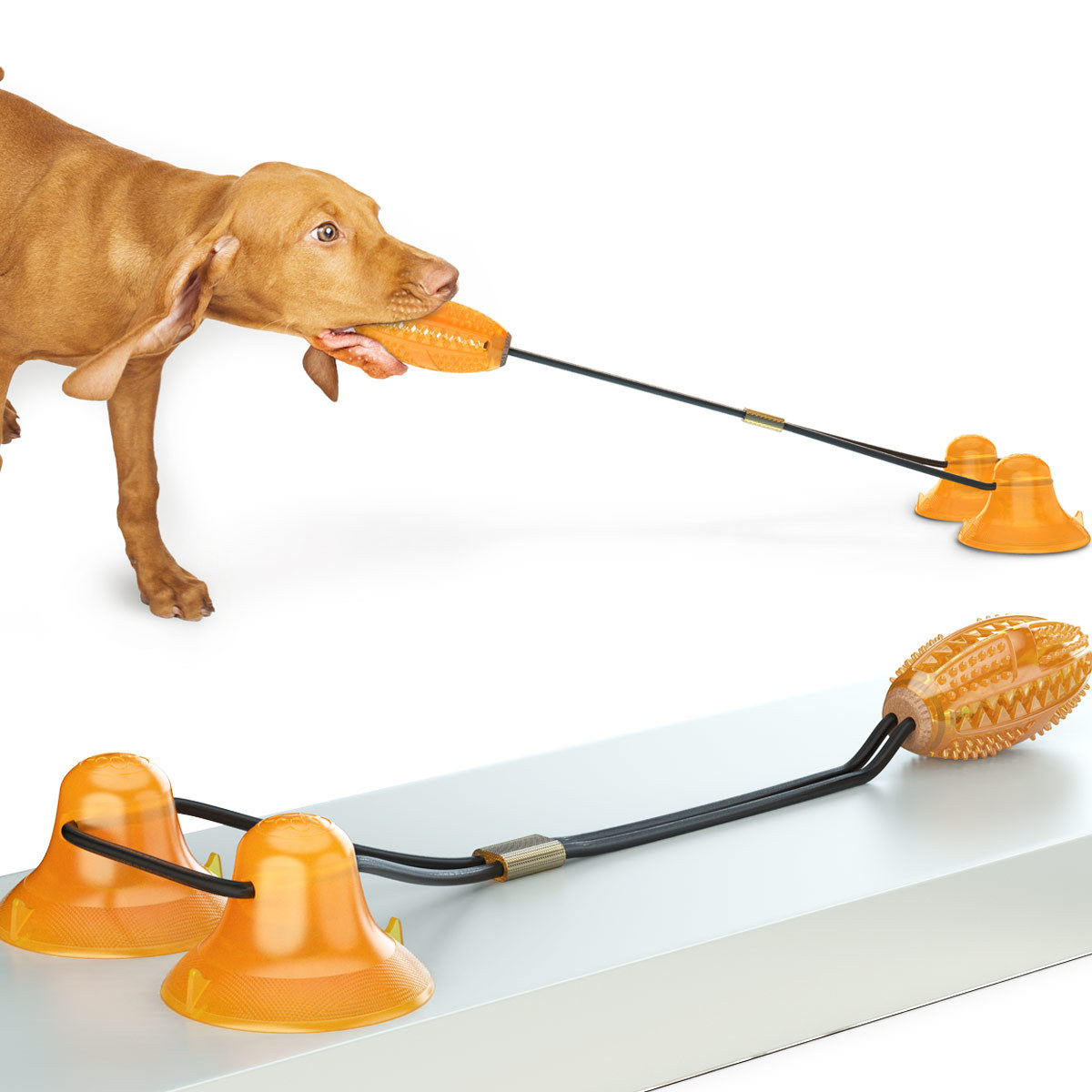 Double Action Suction Cup Tug Toy